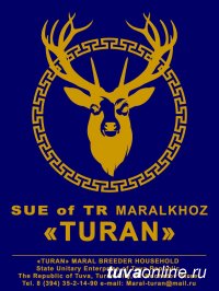 В Туве начала принимать гостей новая база отдыха при мараловодческом хозяйстве «Туран»
