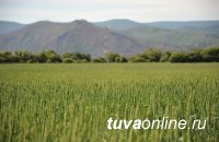 Общая стоимость сельхозугодий Тувы после переоценки увеличилась в 1,4 раза