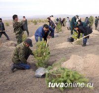 Все - на субботник!!!