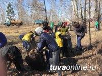 Дружная команда Почетных граждан Кызыла, депутатов, молодежи провела субботник и посадку деревьев на Молодежном сквере