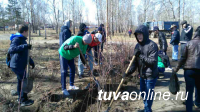 Молодежный сквер Кызыла: Больше зеленых насаждений! Зона отдыха без алкоголя!