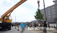 В Туве в рамках месячника планируют посадить более 2 тысяч саженцев деревьев