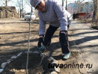 В Туве в рамках месячника планируют посадить более 2 тысяч саженцев деревьев