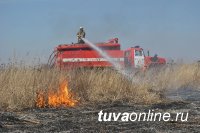 В Туве мужчина оштрафован за брошенный окурок, из-за которого загорелась сухая трава