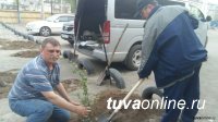 Департамент горхозяйства Мэрии Кызыла собирает до 18 мая заявки от УК на завоз земли для цветников и газонов во дворах