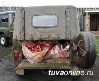 Полицейские Тандинского района Тувы раскрыли кражу скота
