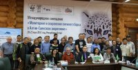 WWF предлагает считать снежного барса по новой методике