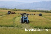 В Туве кожуун-лидер кормозаготовительной кампании в сентябре получит трактор