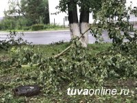 В Кызыле идет уборка улиц от поваленных сильным ветром и градом деревьев и опавшей листвы