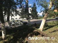 В Кызыле идет уборка улиц от поваленных сильным ветром и градом деревьев и опавшей листвы