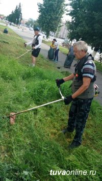 vk.com/vmeste_kyzyl: Молодежь Кызыла пока не включилась в борьбу с бурьяном