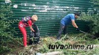 vk.com/vmeste_kyzyl: Молодежь Кызыла пока не включилась в борьбу с бурьяном