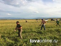 Сотрудники Минприроды помогли подшефным "кыштаговцам" в заготовке кормов