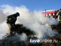 Нарушение правил пожарной безопасности при перевозке сена стало причиной пожара в Овюрском районе Тувы