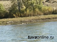 Агентство «Тоджа Тур» предлагает кызылчанам сплавы по Енисею на рафте