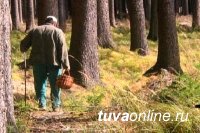 Сборщик ягод, поиски которого в лесах Кызылского района Тувы велись в течение 6 дней, самостоятельно вышел к людям