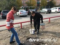 Кызылский двор по ул. Калинина, 24, 24а: Время собирать камни