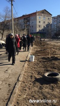 «Городская среда»: Дворы Кызыла приросли березами и елями