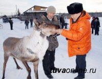 Глава Тувы запускает новый проект поддержки оленеводов Тоджи