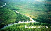 В 2018 году лесные субвенции Туве планируется увеличить на 62%
