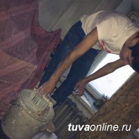 Добровольцы-2017: "Добрые сердца Тувы" помогли ветерану с уборкой квартиры Добровольцы-2017: "Добрые сердца Тувы" помогли ветерану с уборкой квартиры