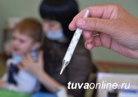 Управление Роспотребнадзора: С 5 марта карантин по гриппу и ОРВИ действует в четырех селах Тувы
