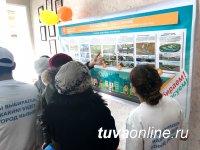 В Кызыле в выборе парков и скверов на 12 часов приняли участие почти 10 тысяч кызылчан, в том числе 250 школьников В Кызыле в выборе парков и скверов на 12 часов приняли участие почти 10 тысяч кызылчан, в том числе 250 школьников