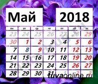 Минтруд России напомнил о выходных днях в мае и июне
