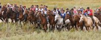 Глава Тувы потребовал от организаторов конных скачек обеспечить все правила безопасности