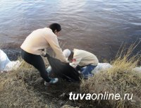 В Туве начались "полезные прогулки"