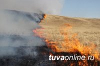 В Кызылском, Дзун-Хемчикском и Тоджинском районах  участковыми уполномоченными полиции установлены виновники степных пожаров 
