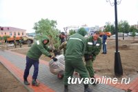 Госкомлес Тувы поможет жителям Кызыла и кожуунов в обеспечении саженцами для озеленения дворов и улиц