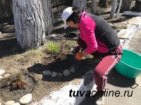 Кызылчане отмывают подъезды, красят ограждения, садят деревья во дворах многоквартирных домов