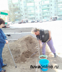 В Кызыле в Первомай все желающие могли приобрести саженцы, рассаду, семена, вазоны для благоустройства дворов столицы