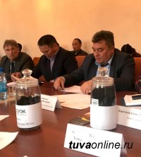СУЭК представила в Кызыле проект по производству бездымного топлива – брикетированного угля
