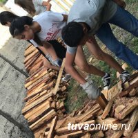"Добрые сердца Тувы" помогли вдове фронтовика заготовить дрова на зиму