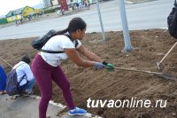 Школьники Кызыла участвуют в преображении одной из самых в недавнем прошлом «убитых» дорог столицы – Ангарского бульвара