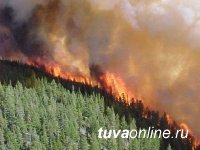 В Тоджинском кожууне Тувы зарегистрировано три лесных пожара