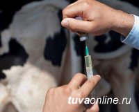 Тува: Ящерная вакцина оказалась недоброкачественной