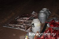 Жители Хакасии задержаны в тувинском заказнике с незаконной добычей
