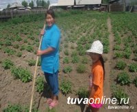 В Туве огородничеством охвачено 72% всех домохозяйств республики В Туве огородничеством охвачено 72% всех домохозяйств республики