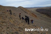 На горе Белдир в окрестностях Кызыла выложена каменная кладь "Лесозащите - 80"