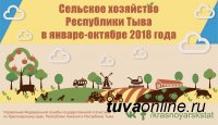 Красноярскстат: В Туве средние надои молока с одной коровы выросли на 161 литр