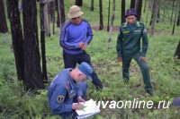 Обед за 21 тысячу: в Туве оштрафовали поджигателя леса