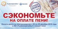 "Тываэнергосбыт" проводит акцию "Сэкономь на оплате пени"