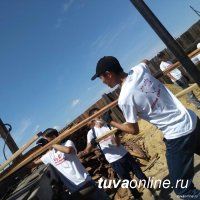 Статистический срез волонтерства в Туве
