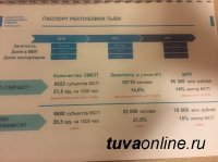 Тува на поддержку малого и среднего бизнеса смогла защитить в 8 раз больше прошлогодних объемов