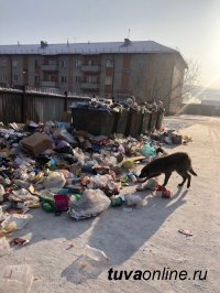 Депутаты Кызыла инициируют расторжение договора с Регоператором по обращению и утилизации отходов