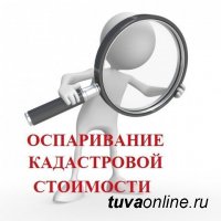 С 2019 года упрощается порядок применения для налогообложения оспоренной кадастровой стоимости недвижимости