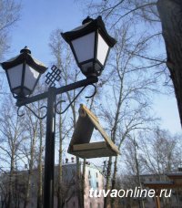 Кызыл: Пополняйте кормушки в Национальном парке и Молодежном сквере города 